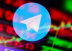 Подписка на официальные Telegram-каналы